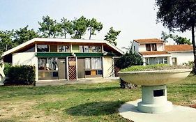 Sous Les Pins Ronce-les-bains